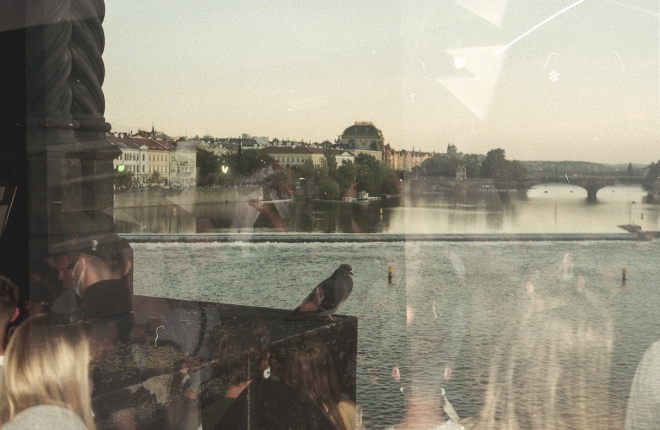 16 james cole, goat, m